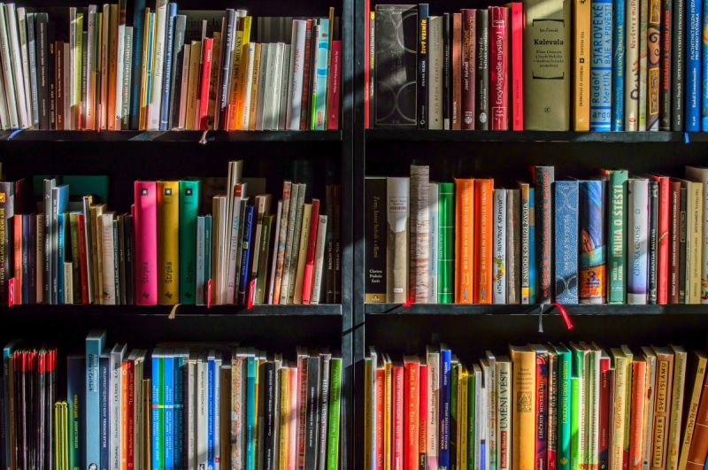 vente-ST CYR SUR MER-min_books_bookstore_book_reading_shop_writer_sale_books_read-822866